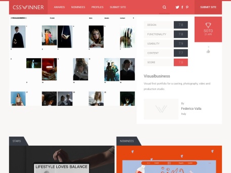 CssWinner网页色彩分类
